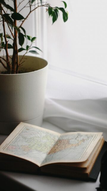 Vintage Map and Houseplant Minimalist Aesthetic Phone Wallpaper