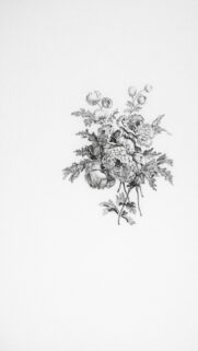 Elegant Vintage Botanical Floral Sketch Minimalist Phone Wallpaper