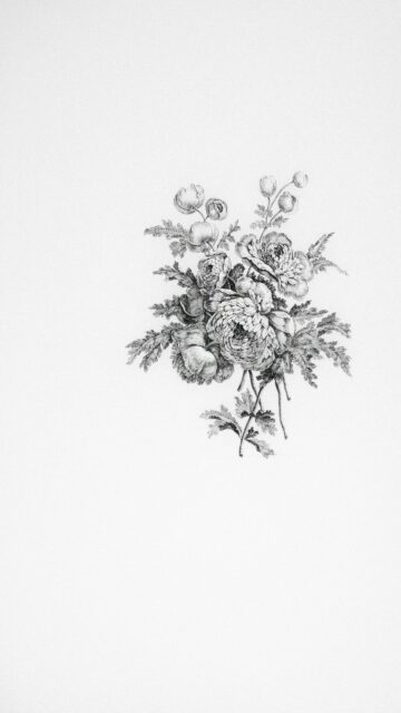Elegant Vintage Botanical Floral Sketch Minimalist Phone Wallpaper