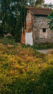 Rustic Abandoned Stone House with Ivy and Overgrown Field Wallpaper