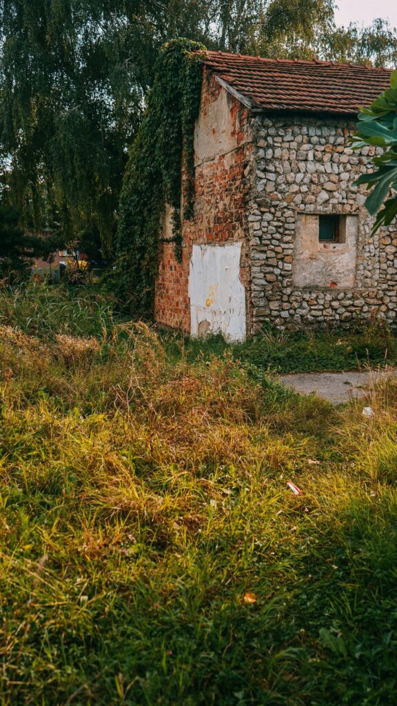 Rustic Abandoned Stone House with Ivy and Overgrown Field Wallpaper