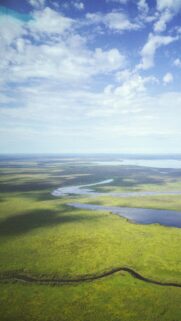 Aerial View of Lush Green Wetlands and Winding River Phone Wallpaper