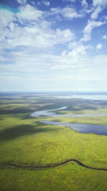 Aerial View of Lush Green Wetlands and Winding River Phone Wallpaper