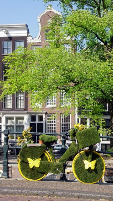 Whimsical Grass Covered Bicycle with Yellow Butterflies Amsterdam Wallpaper