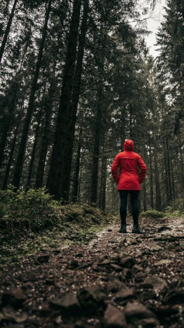 Lone Hiker in Red Jacket Standing in Dark Misty Forest Wallpaper