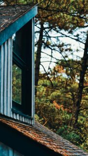Rustic Cabin Window Overlooking Forest Fall Foliage Phone Wallpaper