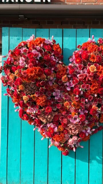 Vibrant Red and Orange Floral Heart on Teal Wood Wallpaper