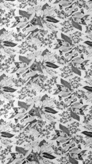 Vintage Chinoiserie Floral and Bird Pattern Aesthetic Wallpaper