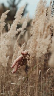 Virgo Aesthetic Nature Earth Sign Energy Daily Horoscope Wallpaper
