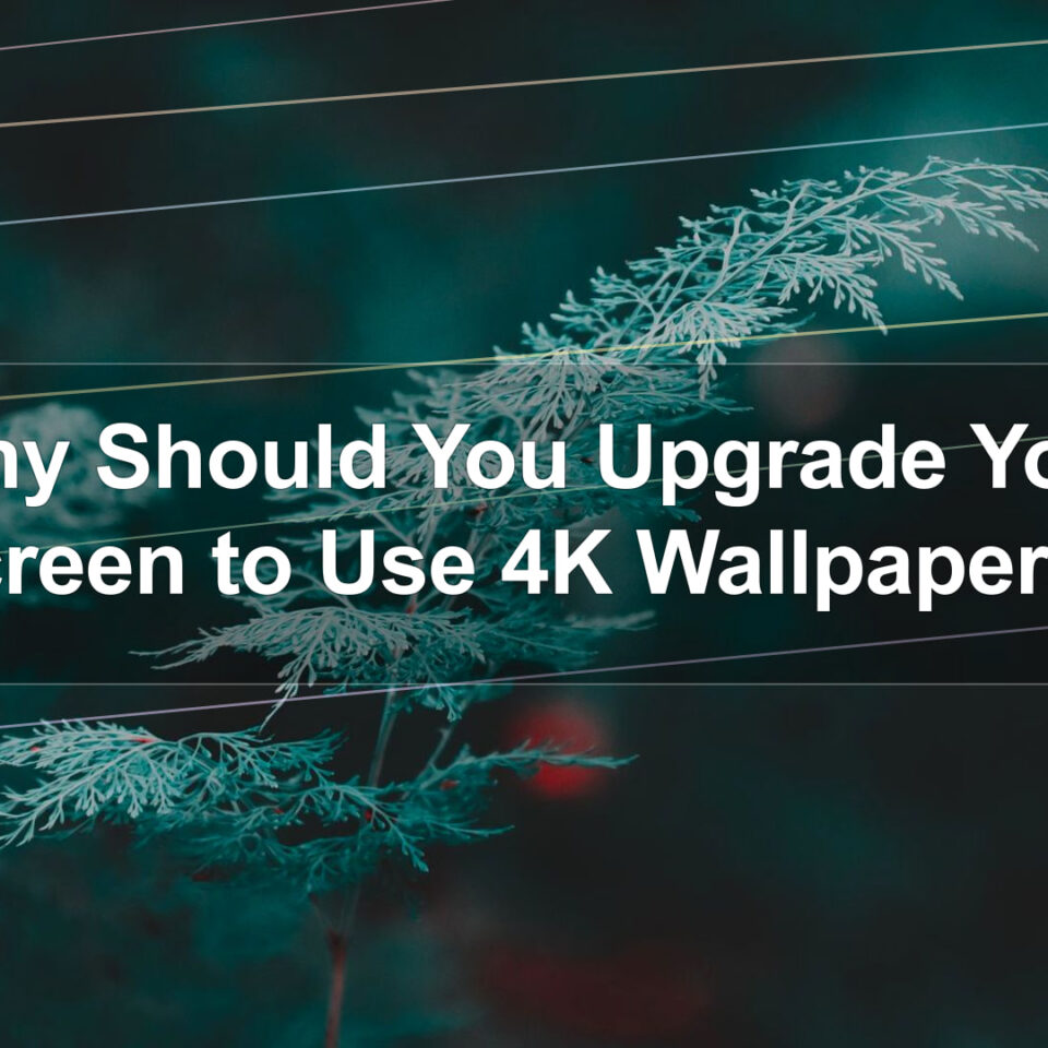Why Should You Upgrade Your Screen to Use 4K Wallpapers?