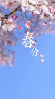 Spring Equinox Cherry Blossom Wallpaper with Elegant Japanese Calligraphy – High Resolution Mobile Background