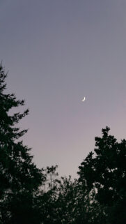 Crescent Moon Cancer Zodiac Aesthetic Celestial Phone Wallpaper