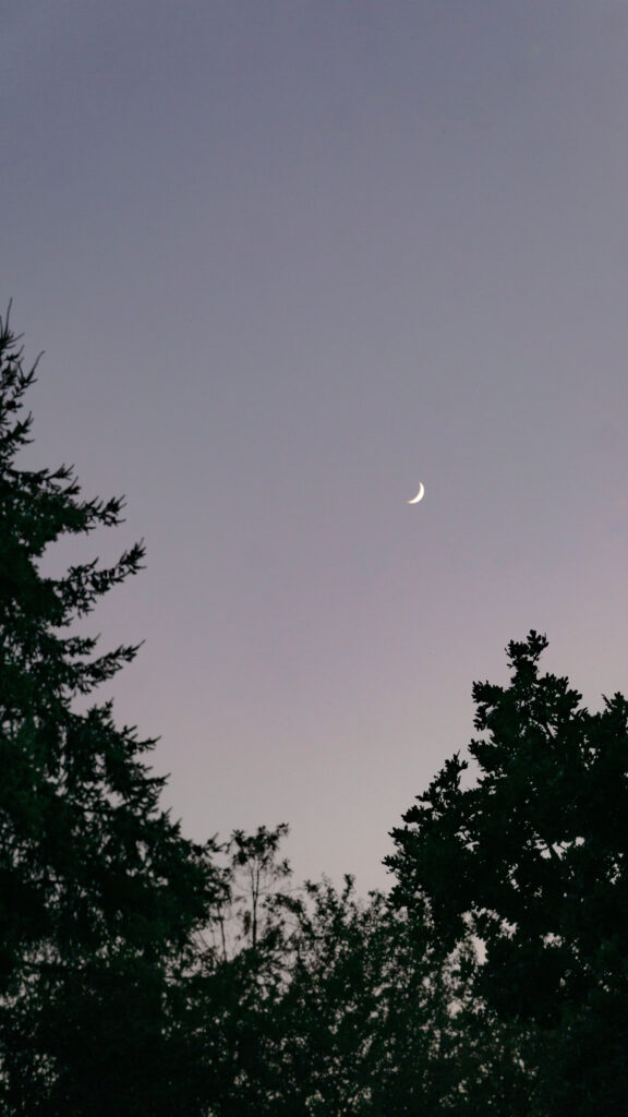 Crescent Moon Cancer Zodiac Aesthetic Celestial Phone Wallpaper