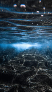 Deep Scorpio Energy: Mysterious Underwater Zodiac Signs Aesthetic Wallpaper