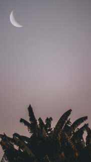 Crescent Moon Phase Spiritual Energy Aesthetic Phone Wallpaper