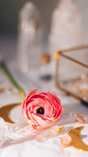 Pink Ranunculus and Moon Crystal Energy Manifestation Aesthetic Wallpaper