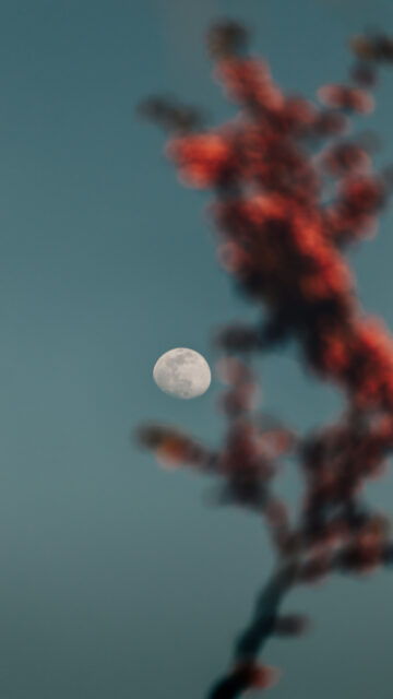 Cancer Moon Energy Spiritual Aesthetic for Your Phone Wallpaper