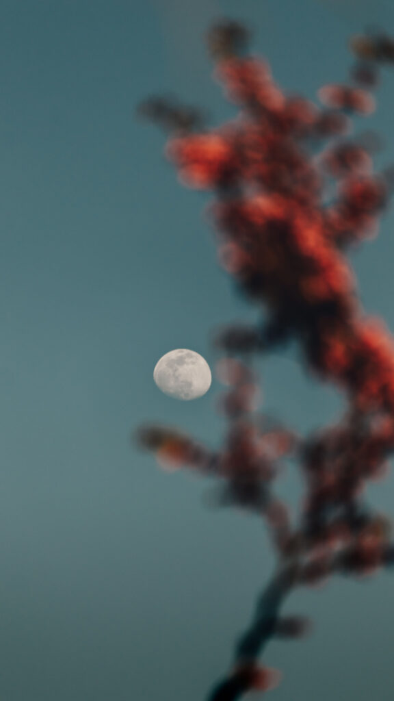 Cancer Moon Energy Spiritual Aesthetic for Your Phone Wallpaper