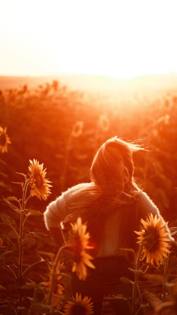 Abundance Mindset Sunflower Field Golden Hour Manifestation Wallpaper
