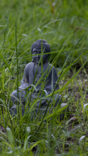 Zen Buddha Garden Meditation Spiritual Energy HD Background Wallpaper