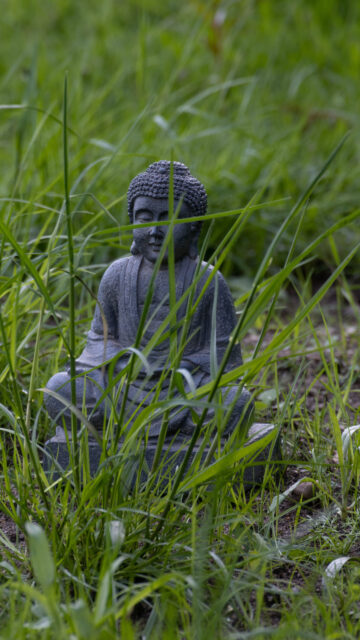 Zen Buddha Garden Meditation Spiritual Energy HD Background Wallpaper