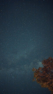 Mystical Aquarius Constellation Night Sky Astrology Phone Wallpaper