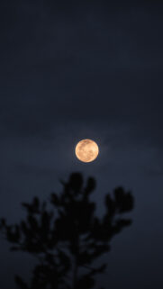 Golden Full Moon Energy Spiritual Manifestation and Abundance Wallpaper