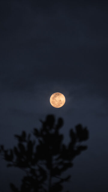 Golden Full Moon Energy Spiritual Manifestation and Abundance Wallpaper