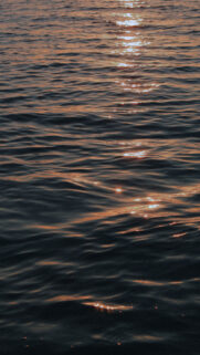 Deep Scorpio Energy Aesthetic Dark Water Zodiac Aesthetic Wallpaper