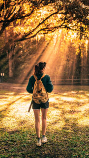 Manifest Your Journey Golden Hour Vision Board Aesthetic Wallpaper