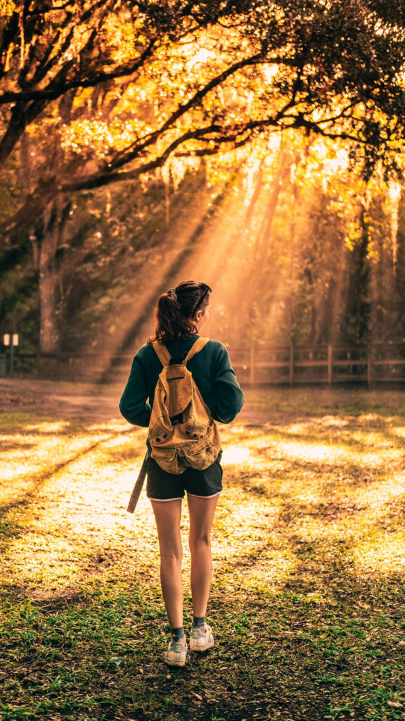 Manifest Your Journey Golden Hour Vision Board Aesthetic Wallpaper
