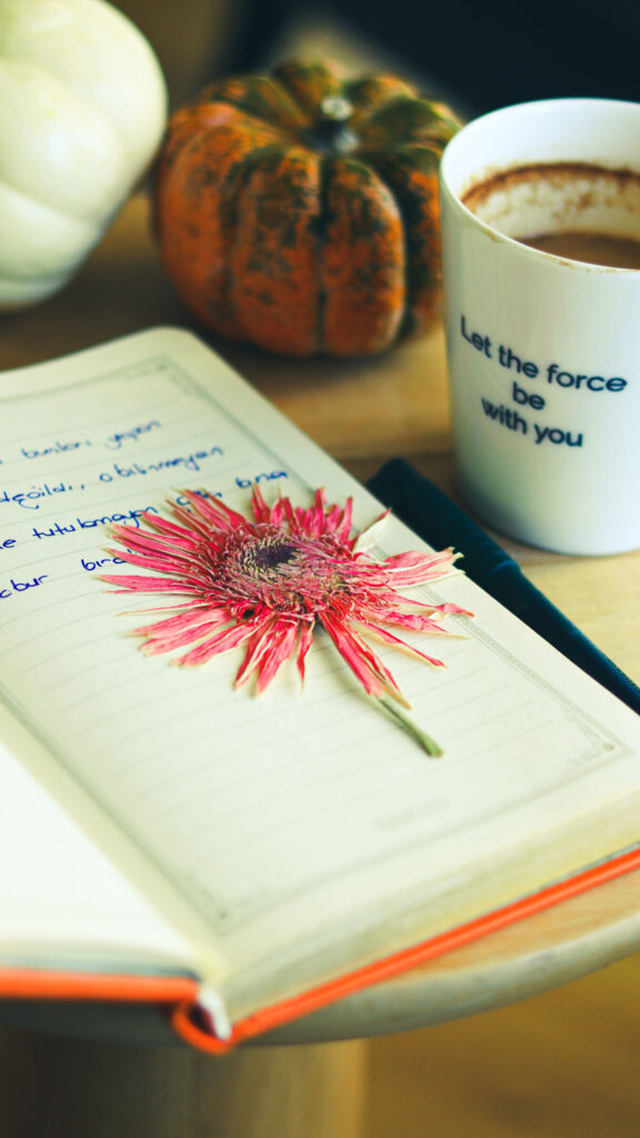Manifestation Journal Daily Affirmation Aesthetic Wallpaper
