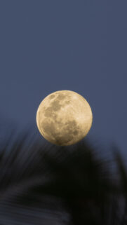 Luminous Full Moon Spiritual Energy and Manifestation Aesthetic Wallpaper