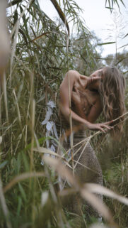 Virgo Nature Aesthetic: Earthy Elemental Connection Zodiac Wallpaper