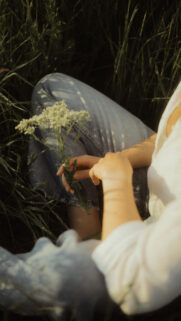 Virgo Botanical Aesthetic Astrology and Earth Sign Energy Wallpaper