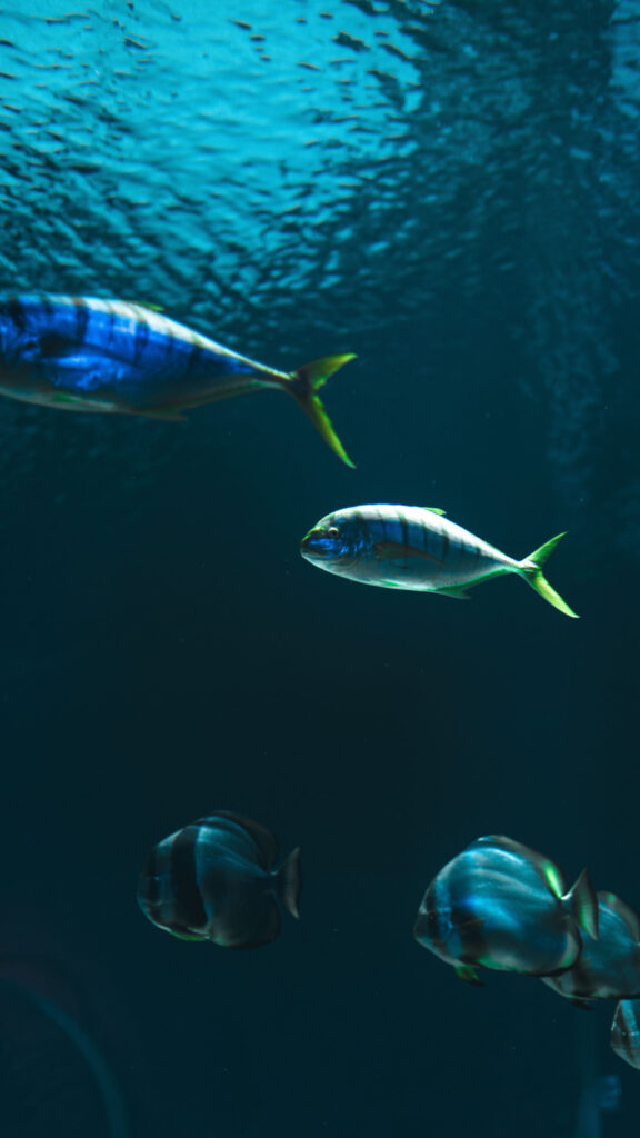Pisces Dreamy Underwater Zodiac Aesthetic Phone Wallpaper