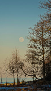 Mystical Full Moon Energy and Lunar Manifestation Desktop Wallpaper