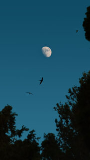 Waxing Gibbous Moon Spiritual Energy and Night Sky Aesthetic Wallpaper