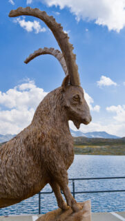 Capricorn Earth Sign Aesthetic Majestic Alpine Mountain Goat Wallpaper
