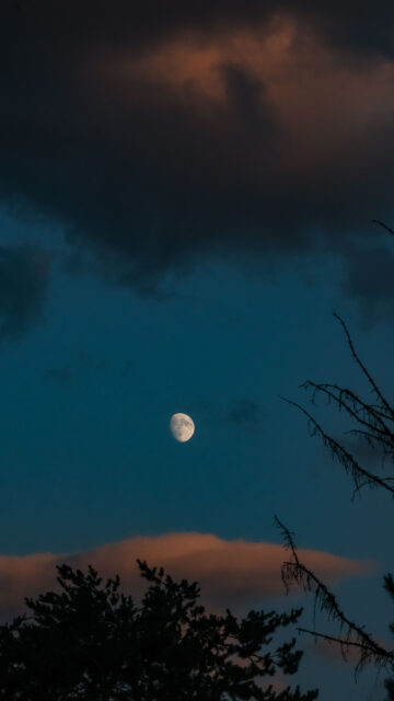Ethereal Waxing Gibbous Moon Phase Spiritual Aesthetic Phone Wallpaper