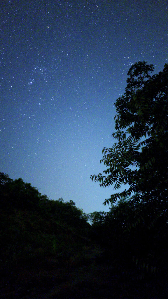 Orion Constellation Night Sky Aesthetic Celestial Spiritual Wallpaper