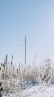 Frozen Landscape Winter Energy Crystal Grid Aesthetic Aesthetic Wallpaper