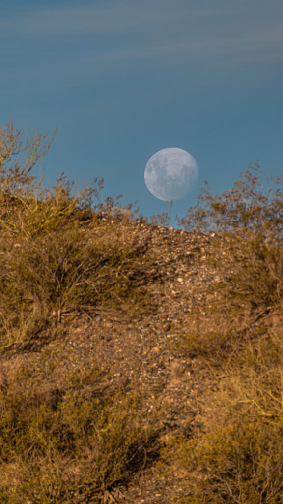 Full Moon Cancer Zodiac Aesthetic Celestial Desert Scenery Wallpaper