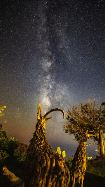 Aquarius Zodiac Night Sky Milky Way Cosmic Constellation Wallpaper