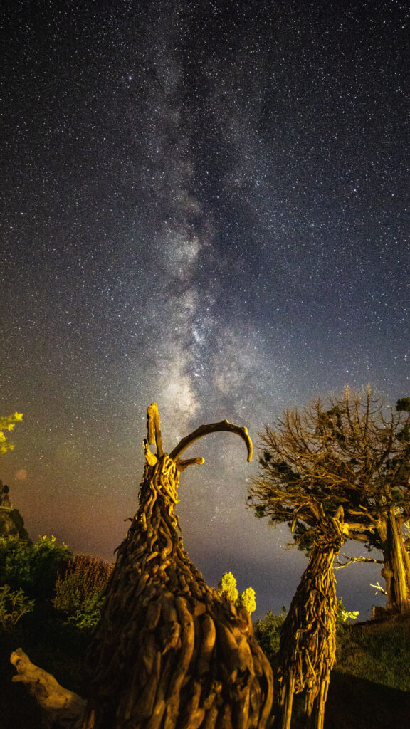 Aquarius Zodiac Night Sky Milky Way Cosmic Constellation Wallpaper