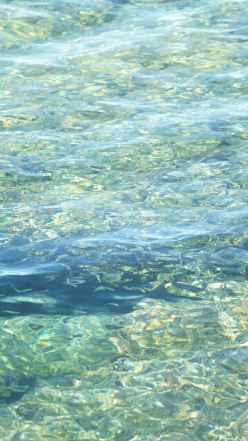 Pisces Water Sign Aesthetic: Embody the Flow of the Two Fish Wallpaper