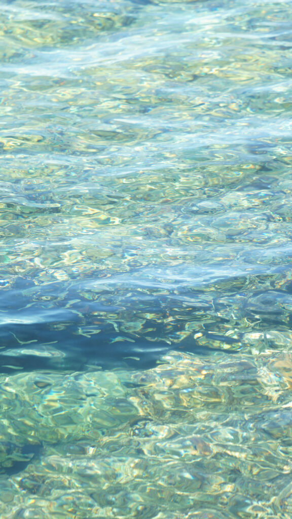 Pisces Water Sign Aesthetic: Embody the Flow of the Two Fish Wallpaper