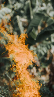 Sagittarius Fire Spirit Zodiac Symbolism and Elemental Energy Wallpaper