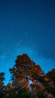 Celestial Stargazing Energy and Cosmic Manifestation Night Sky Wallpaper
