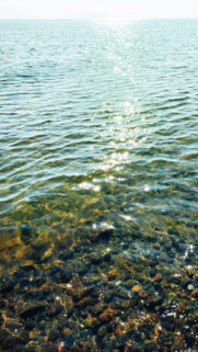 Scorpio Water Aesthetic Zodiac Energy Desktop and Phone Wallpaper